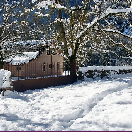 Chalet Coquelicot Kalavryta Buitenkant foto
