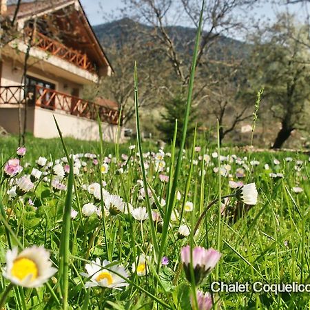 Chalet Coquelicot Kalavryta Buitenkant foto