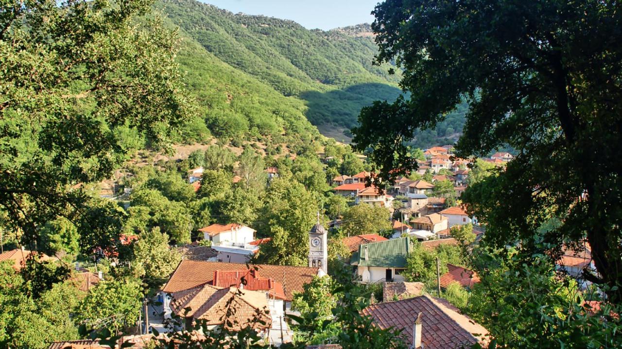 Chalet Coquelicot Kalavryta Buitenkant foto
